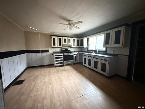 Tiny photo for 103 E 11TH Street, Belle Rive, IL 62810 (MLS # EB460572)