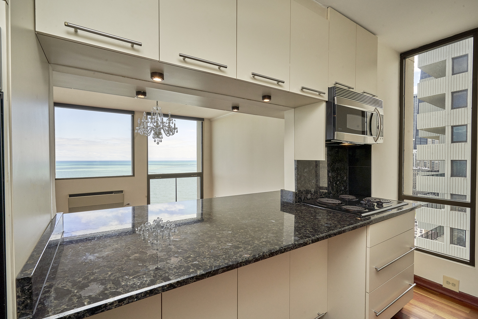 1240 N Lake Shore Drive 25A