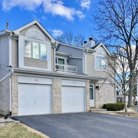 Tiny photo for 989 N Cove Drive #B, Palatine, IL 60067 (MLS # 12593852)