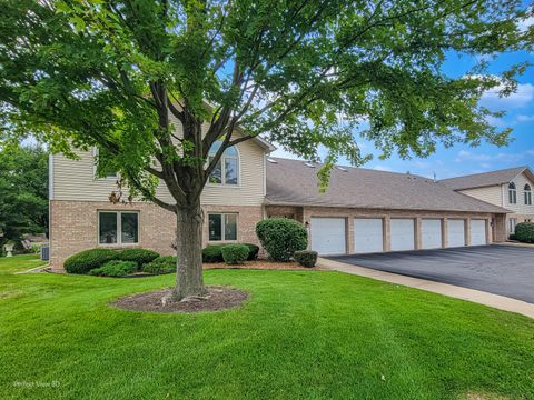 Tiny photo for 197 Barbara Jean Lane #4, Joliet, IL 60436 (MLS # 12459457)