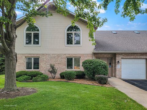 Photo of 197 Barbara Jean Lane #4, Joliet, IL 60436 (MLS # 12459457)