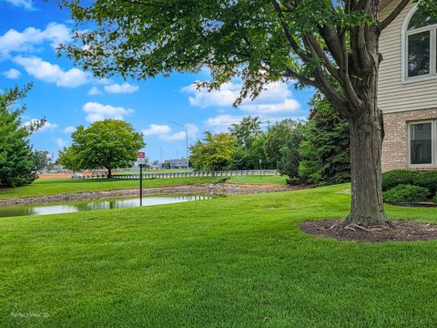 Tiny photo for 197 Barbara Jean Lane #4, Joliet, IL 60436 (MLS # 12459457)