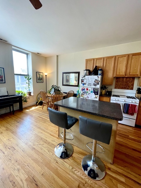 1459 N MILWAUKEE Avenue 3C