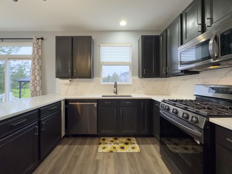 Tiny photo for Elgin, IL 60124 (MLS # 12520566)