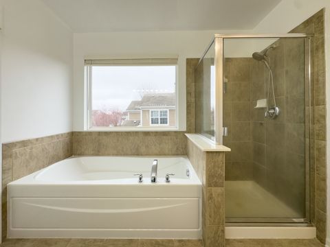 Tiny photo for Elgin, IL 60124 (MLS # 12520566)