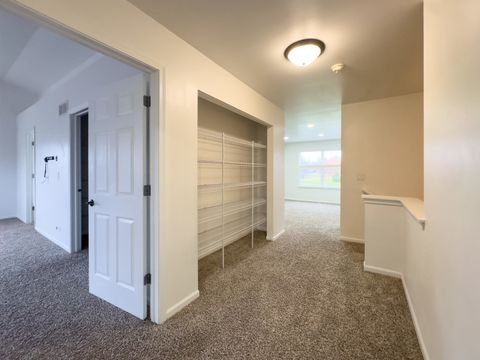 Tiny photo for Elgin, IL 60124 (MLS # 12520566)