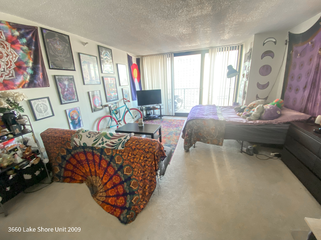 3660 N LAKE SHORE Drive 2009