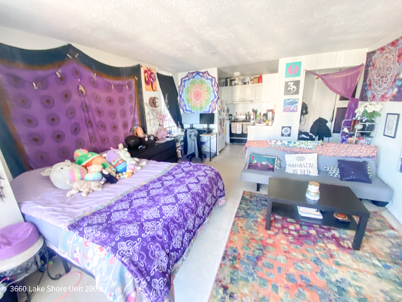 3660 N LAKE SHORE Drive 2009