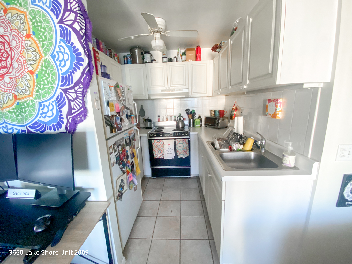 3660 N LAKE SHORE Drive 2009