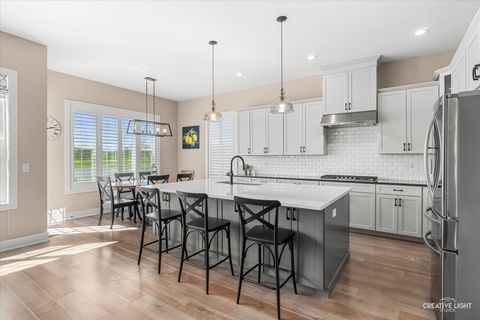 Tiny photo for 3556 Crosswater Court, Elgin, IL 60124 (MLS # 12618680)