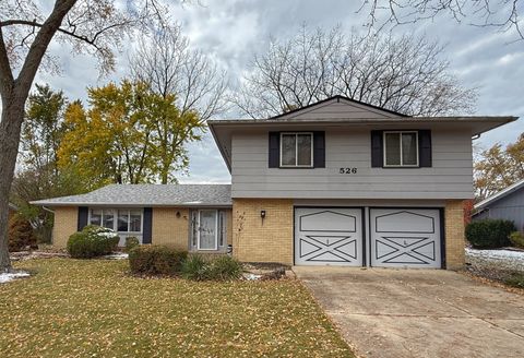 Photo of 526 S SPRINGINSGUTH Road, Schaumburg, IL 60193 (MLS # 12504554)