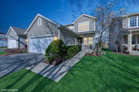 1094 Blackburn Drive Grayslake IL 60030