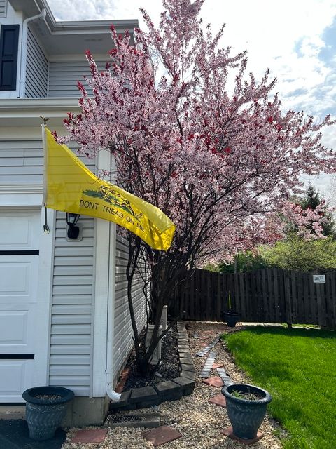 A home in Bolingbrook