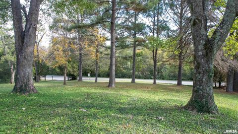 Tiny photo for 2680 S US Hwy 45 Highway, Vienna, IL 62995 (MLS # EB460239)