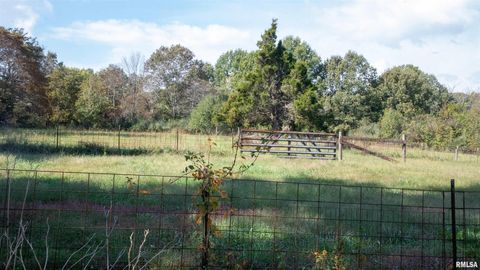 Tiny photo for 2680 S US Hwy 45 Highway, Vienna, IL 62995 (MLS # EB460239)