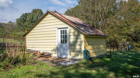 Tiny photo for 2680 S US Hwy 45 Highway, Vienna, IL 62995 (MLS # EB460239)