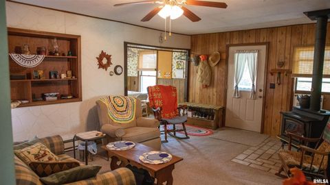 Tiny photo for 2680 S US Hwy 45 Highway, Vienna, IL 62995 (MLS # EB460239)