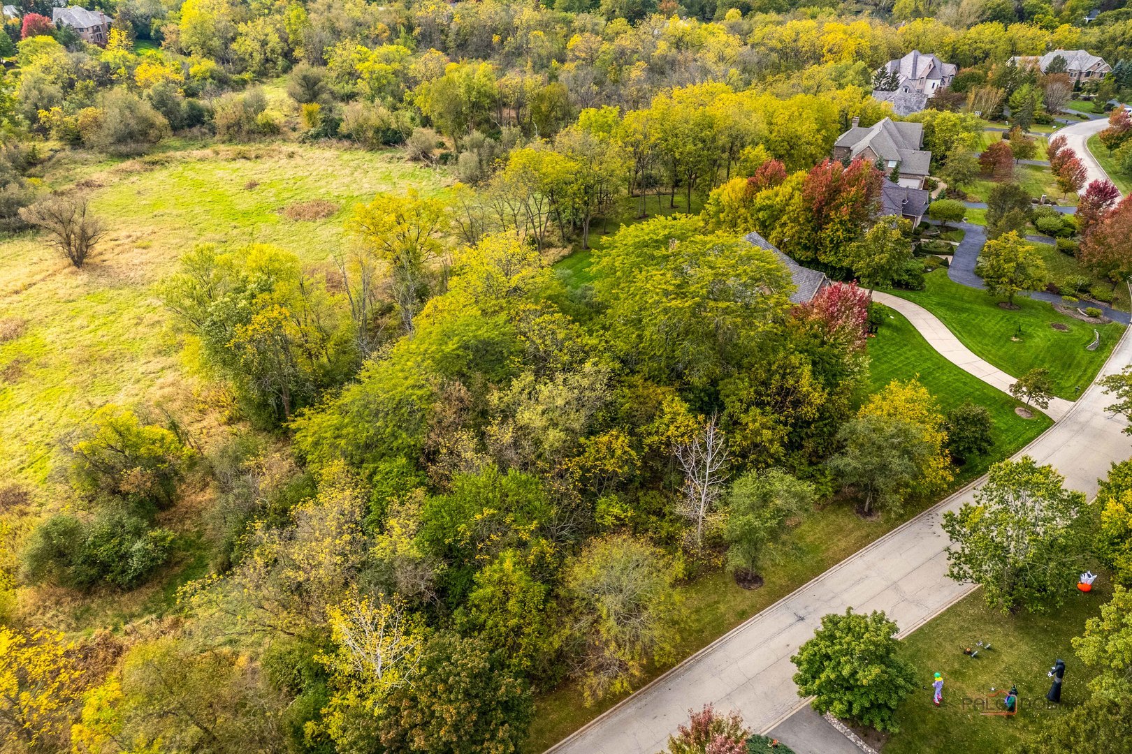 21693 N Tall Oaks Drive