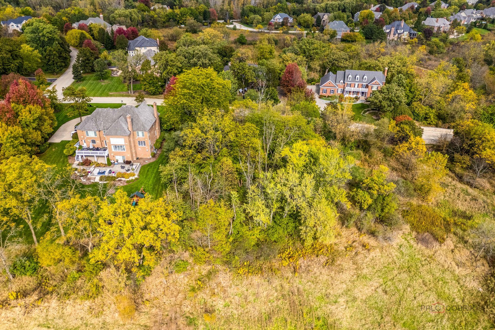 21693 N Tall Oaks Drive