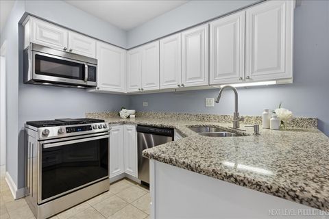 Tiny photo for 1345 Queensgreen Circle, Naperville, IL 60563 (MLS # 12591401)