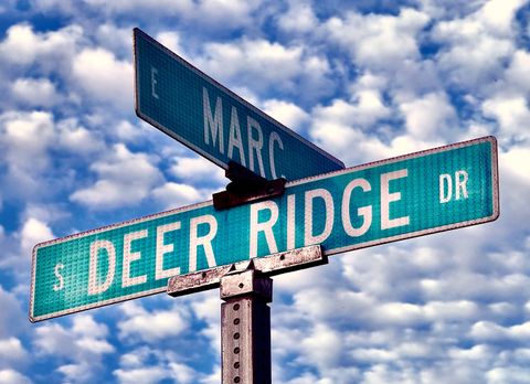 Tiny photo for 1606 E Marc Trail, Urbana, IL 61802 (MLS # 12441635)