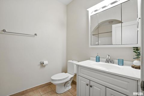 Tiny photo for 1013 2ND Street Court, Moline, IL 61265 (MLS # QC4265693)