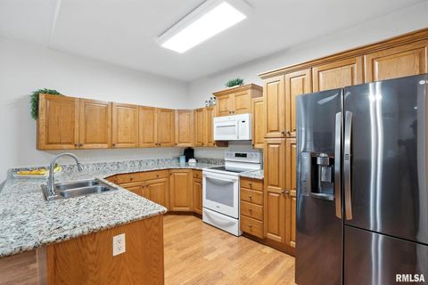 Tiny photo for 1013 2ND Street Court, Moline, IL 61265 (MLS # QC4265693)