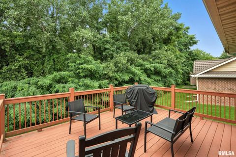 Tiny photo for 1013 2ND Street Court, Moline, IL 61265 (MLS # QC4265693)