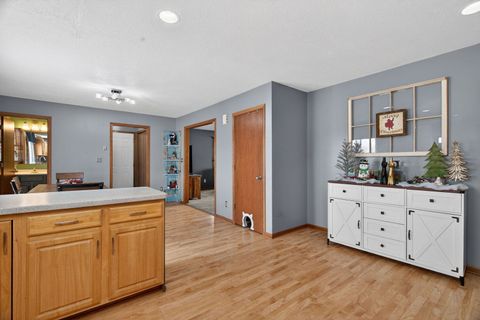 Tiny photo for 364 W Anndon Street, Braidwood, IL 60408 (MLS # 12536068)