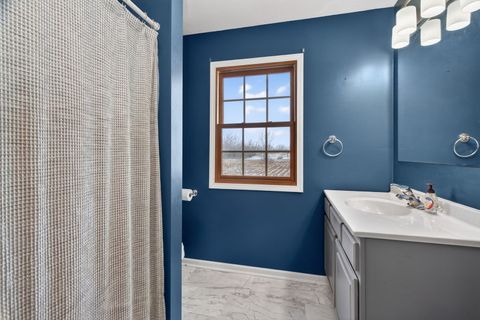 Tiny photo for 364 W Anndon Street, Braidwood, IL 60408 (MLS # 12536068)