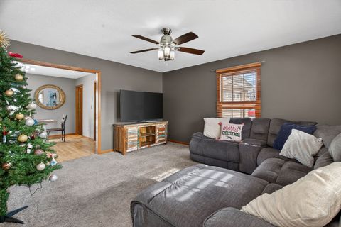 Tiny photo for 364 W Anndon Street, Braidwood, IL 60408 (MLS # 12536068)