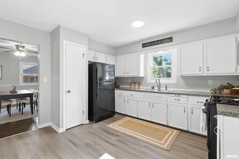 Tiny photo for 1300 2ND Avenue, Silvis, IL 61282 (MLS # QC4266636)