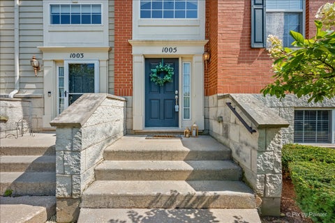 Tiny photo for 1005 Alberta Road, Elgin, IL 60124 (MLS # 12745668)