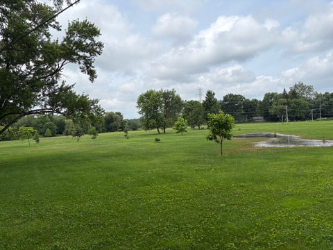 Tiny photo for 118 Willow Street, Park Forest, IL 60466 (MLS # 12690018)