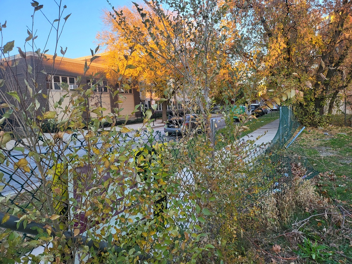 3059 W Arthington Street