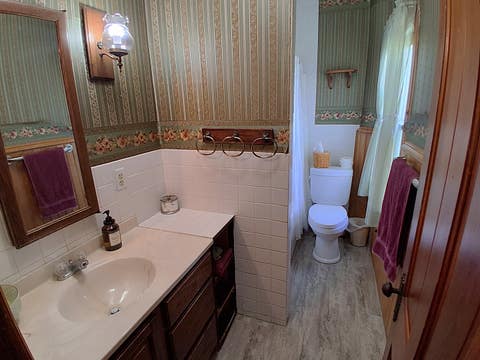 Tiny photo for 305 Hodgson Street, Lafayette, IL 61449 (MLS # 12734335)