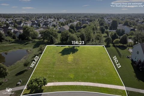 21059 Somerset Street Shorewood IL 60404