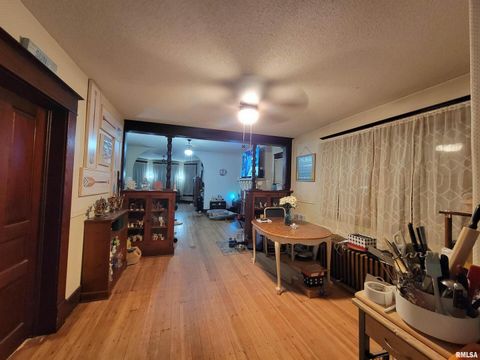 Tiny photo for 110 W MONROE Street, Anna, IL 62906 (MLS # EB460199)