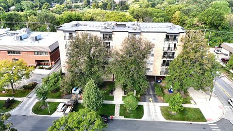 Tiny photo for 424 Park Avenue #206, River Forest, IL 60305 (MLS # 12480821)