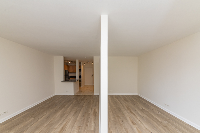 777 N Michigan Avenue 1706