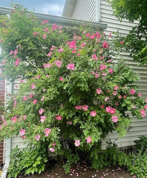 Tiny photo for 202 Mill Street, Batavia, IL 60510 (MLS # 12608043)