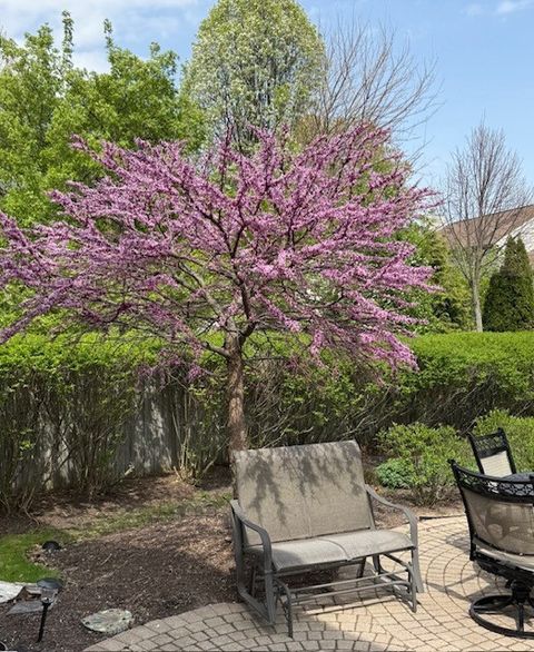 Tiny photo for 202 Mill Street, Batavia, IL 60510 (MLS # 12608043)