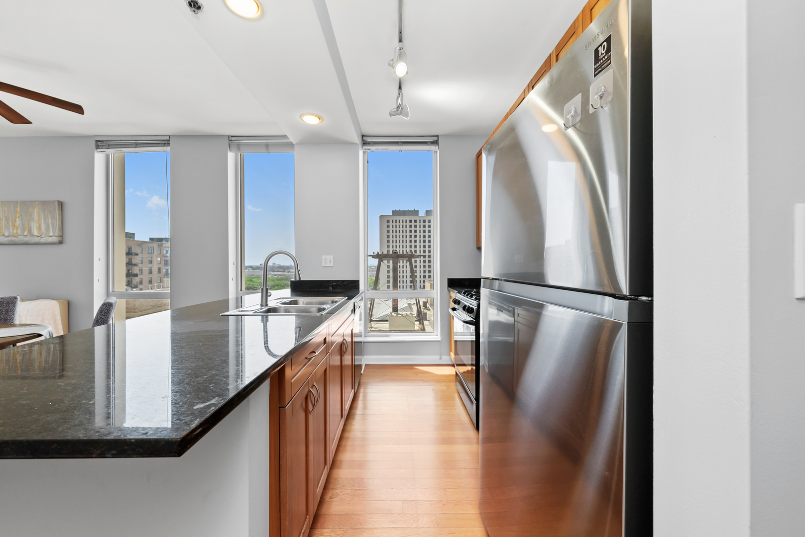 1250 S Michigan Avenue 1110