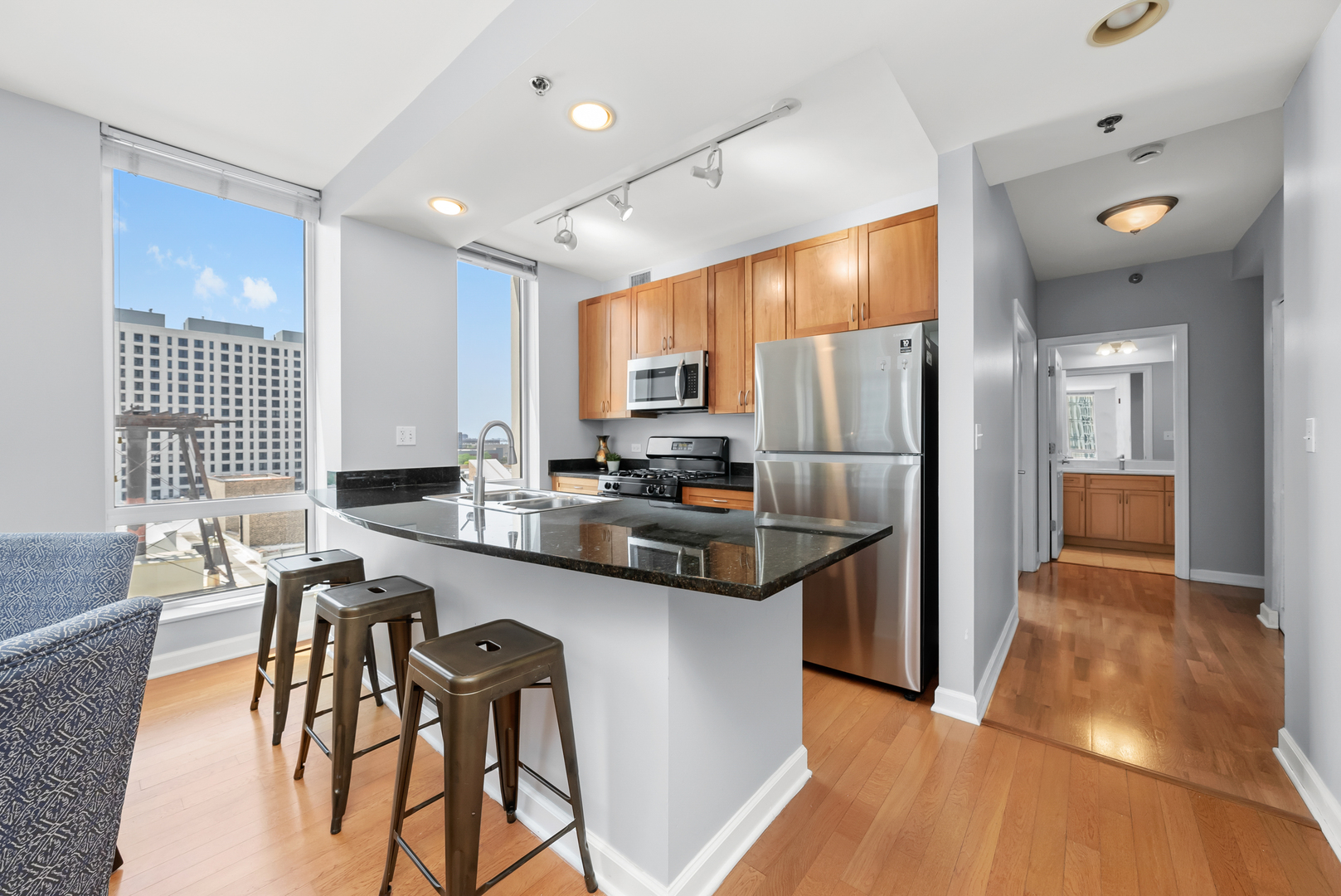 1250 S Michigan Avenue 1110