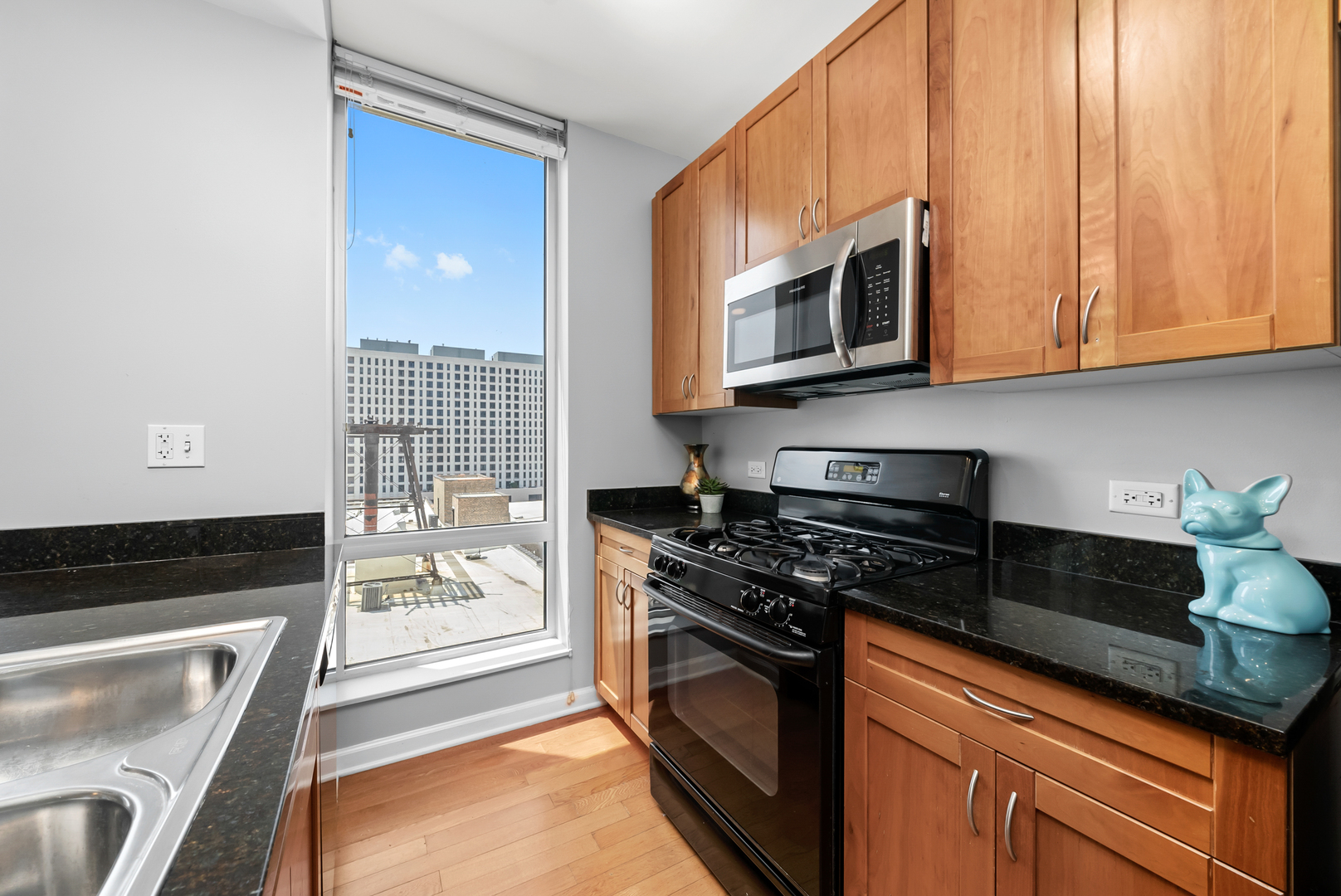 1250 S Michigan Avenue 1110