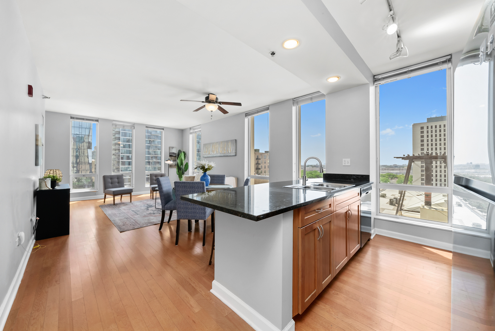 1250 S Michigan Avenue 1110