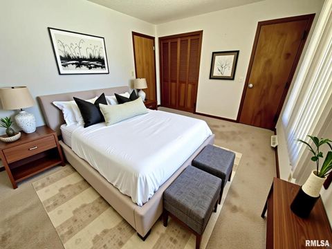 Tiny photo for 506 S STATE Street, Annawan, IL 61234 (MLS # QC4267413)