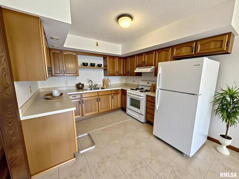 Tiny photo for 506 S STATE Street, Annawan, IL 61234 (MLS # QC4267413)