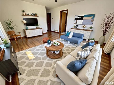 Tiny photo for 506 S STATE Street, Annawan, IL 61234 (MLS # QC4267413)