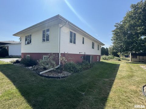 Tiny photo for 506 S STATE Street, Annawan, IL 61234 (MLS # QC4267413)